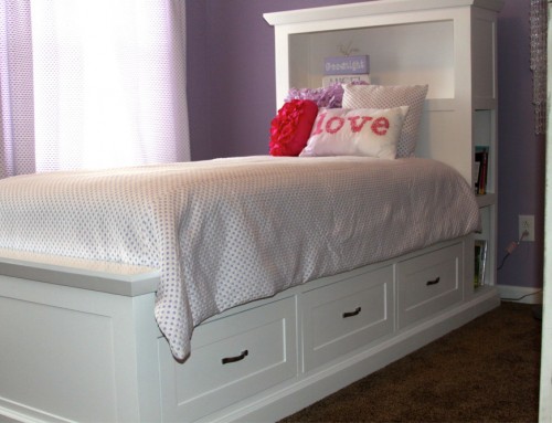 Bookcase Twin Bed