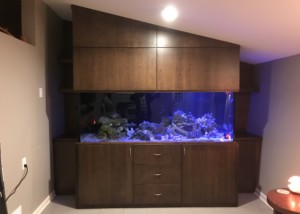 Angled Ceiling Aquarium Cabinetry
