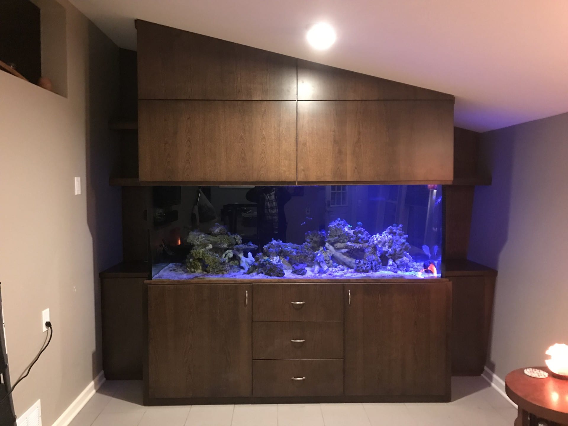 Angled Ceiling Aquarium Cabinetry