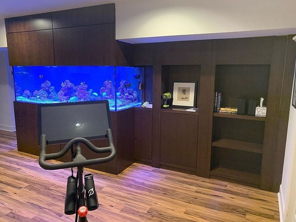 Office Aquarium Cabinets